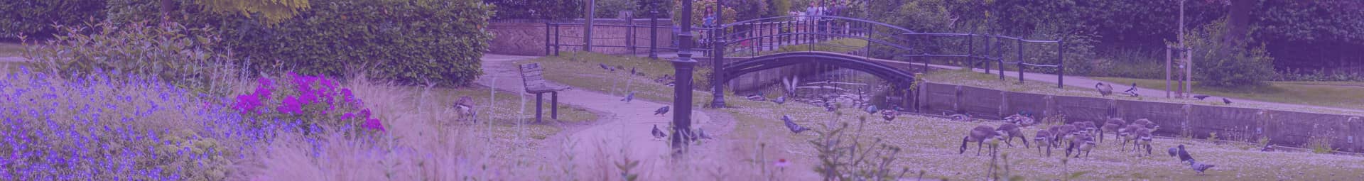 Jay Hayward, Estate Agents, Property, Buy, Sell, Rent, Let, Landlord, Tenant, Greater London, Sold, Valuations, Marketing, Residential 